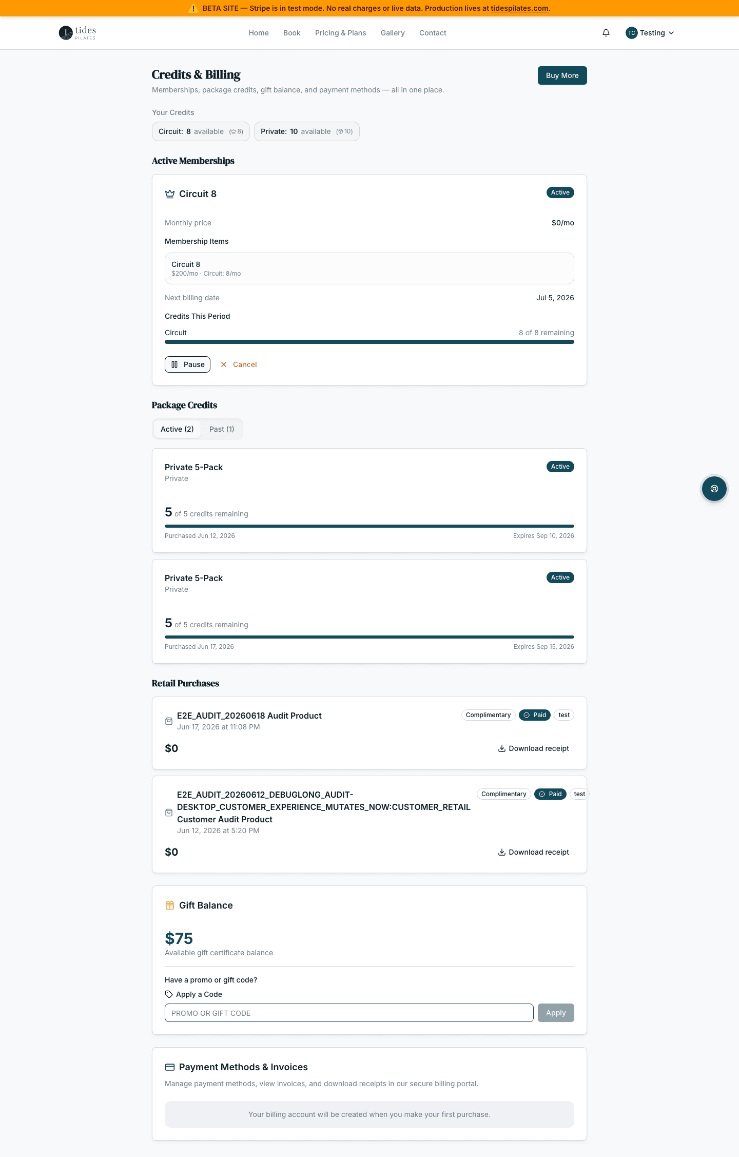 Client credits page showing active credit and package state